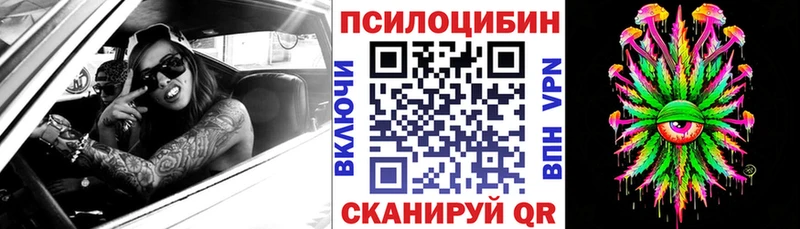 Галлюциногенные грибы Psilocybe  Купить  Шарья