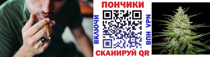 Купить где  Шарья  Марихуана индика 